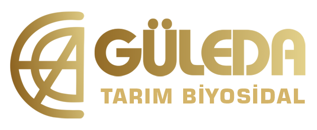 guledawebLogo